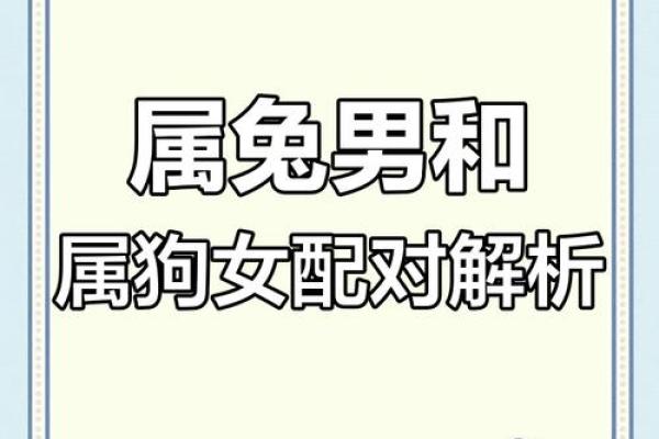 1999年出生的属兔人正缘在哪年，最佳婚配属相是谁