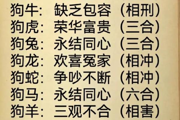 子午相冲三合出什么生肖(子午相冲三合出什么生肖百度知道)