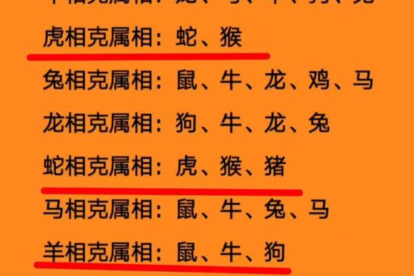 属兔的人最适合与哪些生肖属相结婚共度一生？