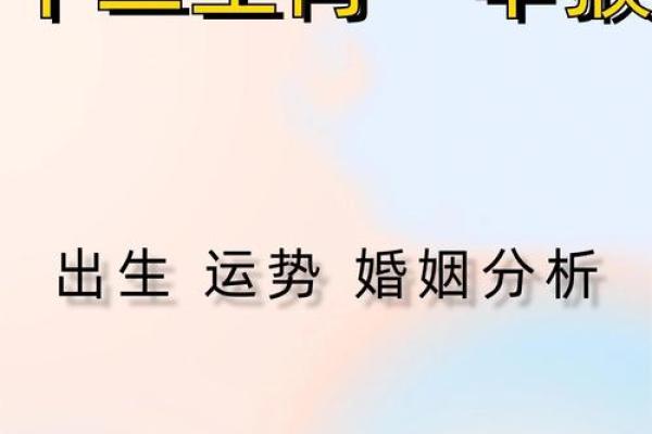 1992年属猴的属相婚配表 1992年属猴的最佳配偶表