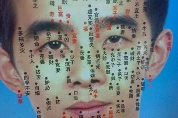男人眉毛浓有什么说法 男人眉毛淡而稀的面相解说