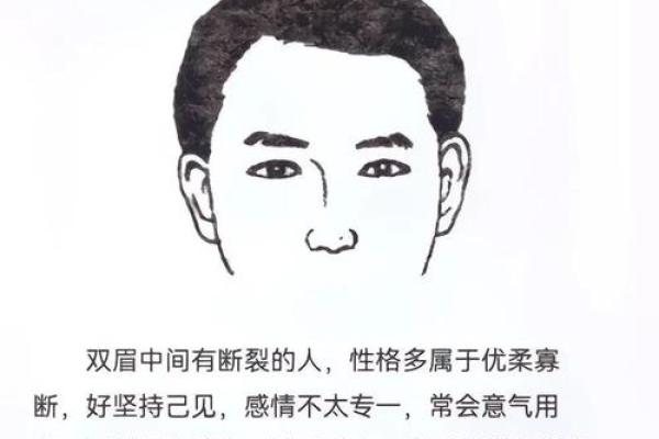 男人眉毛浓有什么说法 男人眉毛淡而稀的面相解说