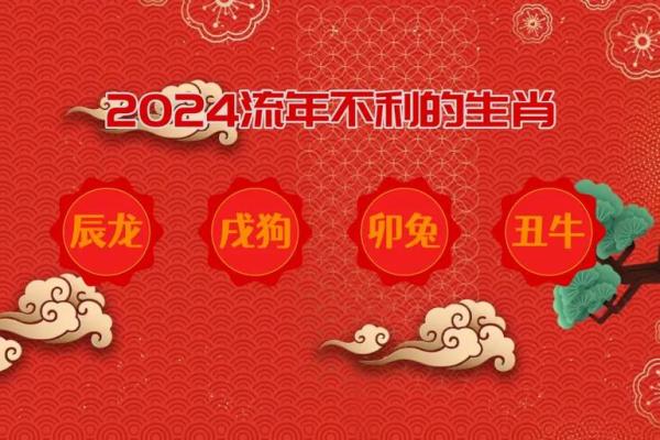2024年一月属龙还是兔