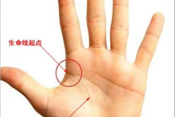 男人手相看哪只手 男人左手手纹算命图解 男人手相看哪只手 男人左手手纹算命图解