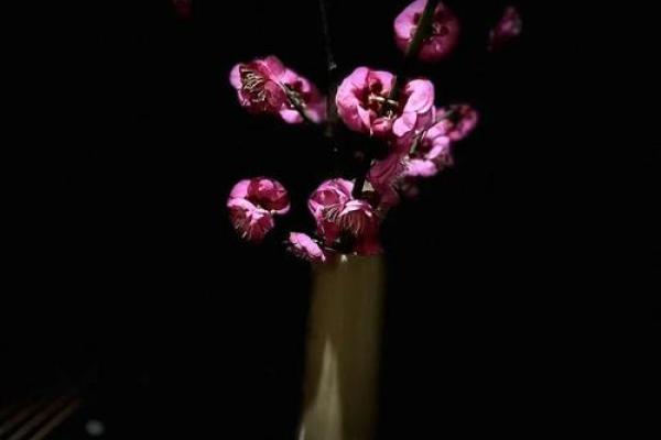落花媒人指什么生肖 落花媒人打一生肖是什么