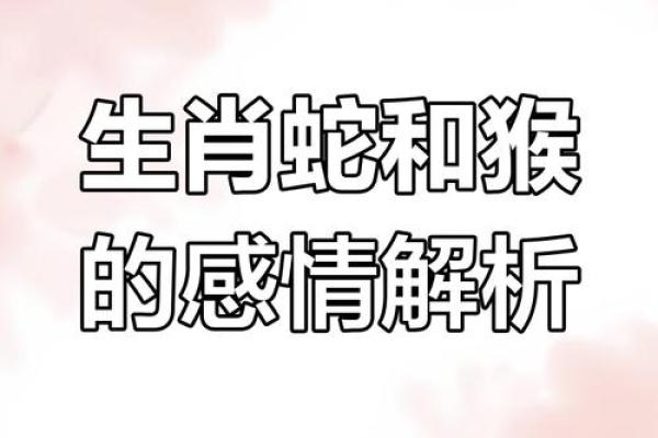 2001年的蛇男最佳婚配属相 2001年的蛇男最佳婚配属相是什么