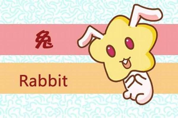 属龙和属兔的合伙做生意会相克吗？财运合作得把眼睛擦亮了
