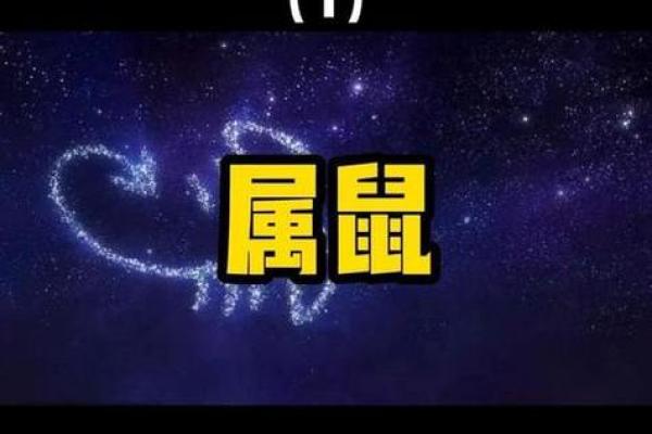 2024年属鼠1972年出生全年运势如何？事业感情运势分析