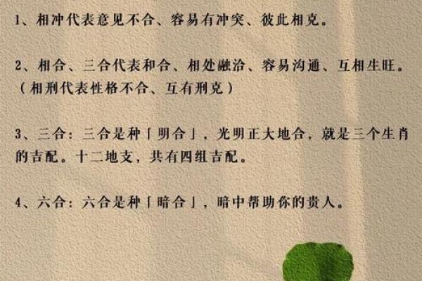 女虎男蛇婚配是否相克？解析生肖配对中的相处之道