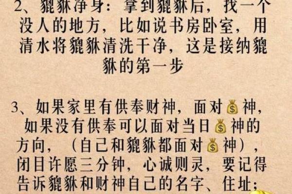 貔貅前面放什么好 貔貅前面放什么好呢