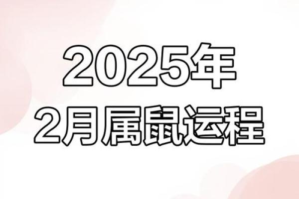 属鼠的人在2025年虚岁究竟是多少岁，如何准确计算生肖年龄？