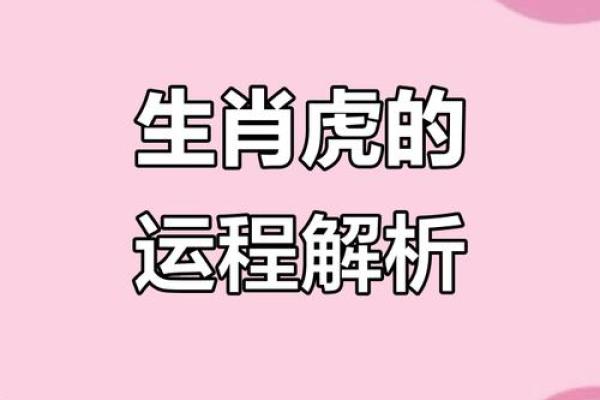 属虎2020年运势及运程详解 属虎2020年运势及运程大家找算命网