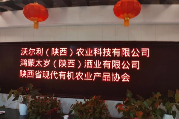 太岁产品简介 太岁产品生产厂家