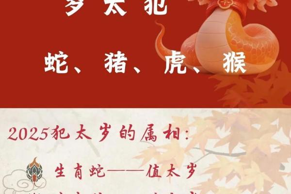 太岁产品简介 太岁产品生产厂家