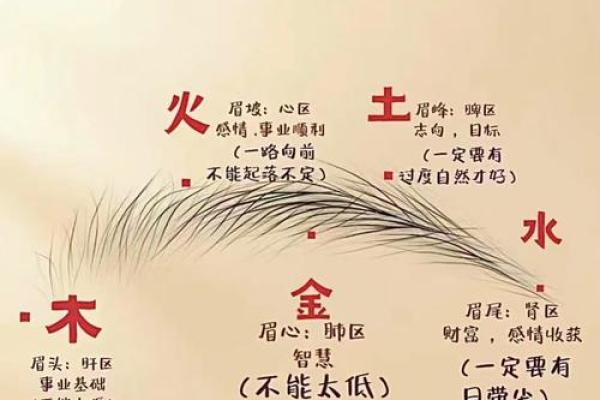 眉毛有什么说法风水 眉毛的风水相学说