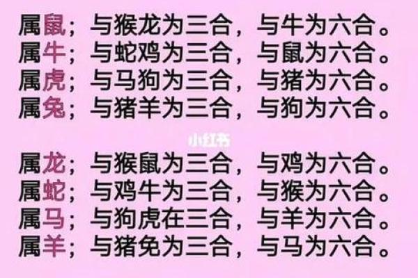 属虎和属鸡的婚配是否合适？解析生肖配对中的相合与相冲关系