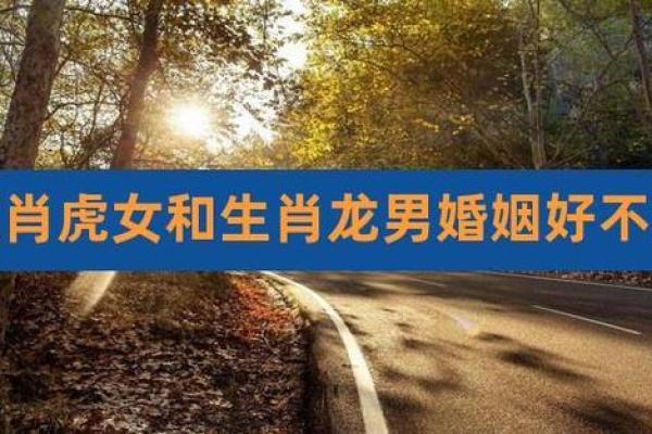 属龙和属虎的婚姻配对如何？详细分析性格优缺点与相处建议