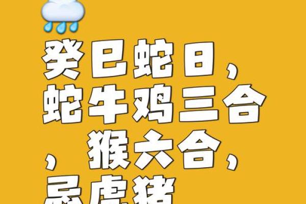 属蛇和属虎的人在一起合作共事，属相合不合会影响运势吗？