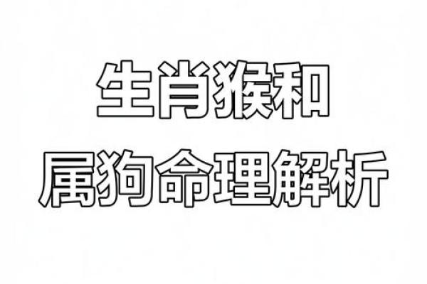 属猴男与属狗女婚配 属猴男与属狗女婚配吗