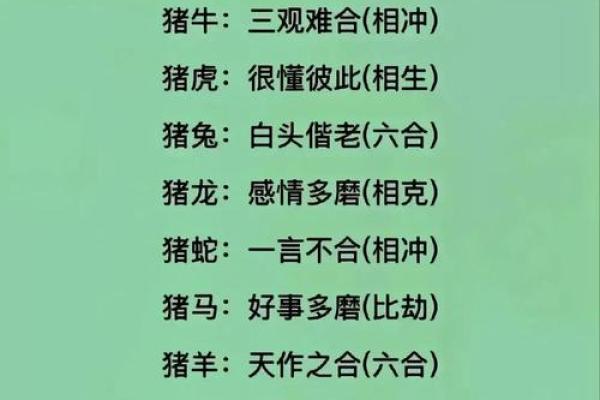 属虎的人和属猪的人结婚在生肖配对中是否合适？