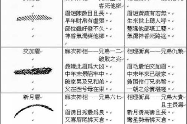 如何看面相算命(如何看面相算命图解)