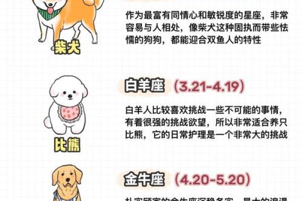 星座生肖血型配对(生肖星座血型查询)