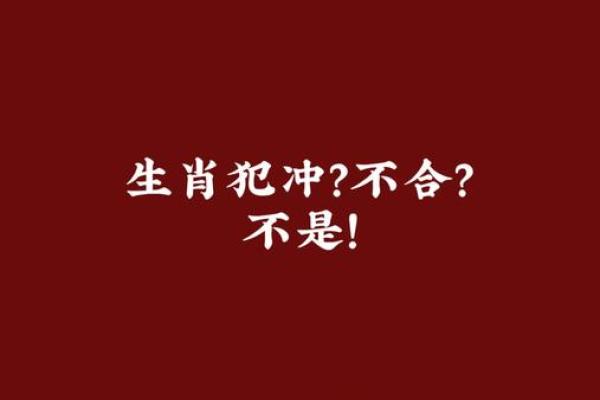 属马的几月犯月 生肖狗和什么生肖相冲