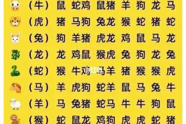 属马的几月犯月 生肖狗和什么生肖相冲