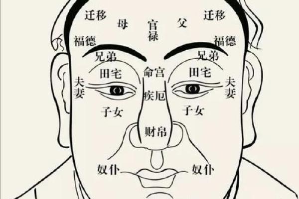 眉毛看相算命图解 眉毛看相图解大全 眉毛看相算命图解 眉毛看相图解大全