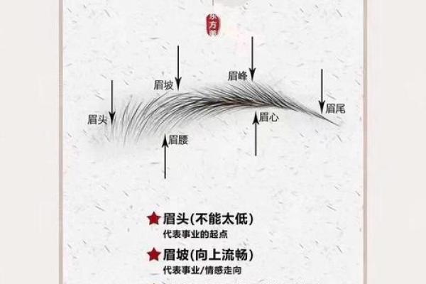 眉毛看相算命图解 眉毛看相图解大全 眉毛看相算命图解 眉毛看相图解大全