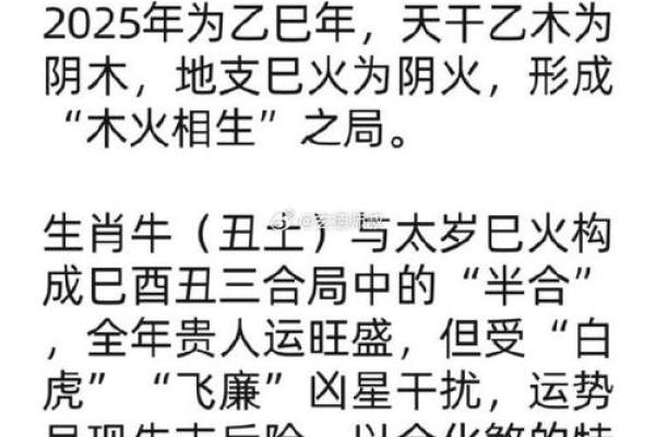 属鼠与属牛八字合吗 属鼠和属牛八字合不合