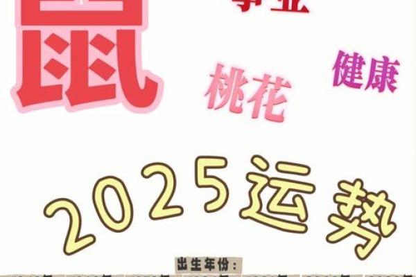 2025年属鼠人的全年每月运程解析，需要注意哪些关键时间节点？
