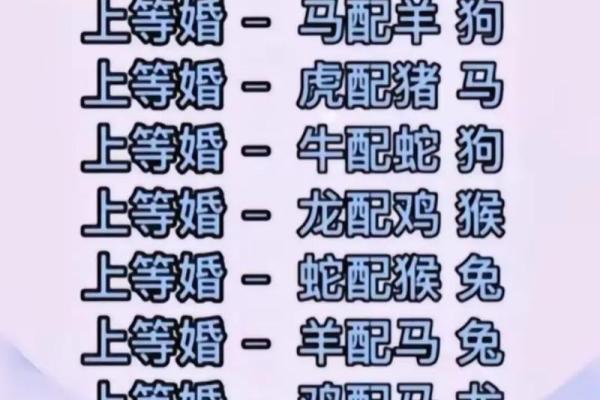 一心一意是什么生肖(一心一意是什么生肖百度)