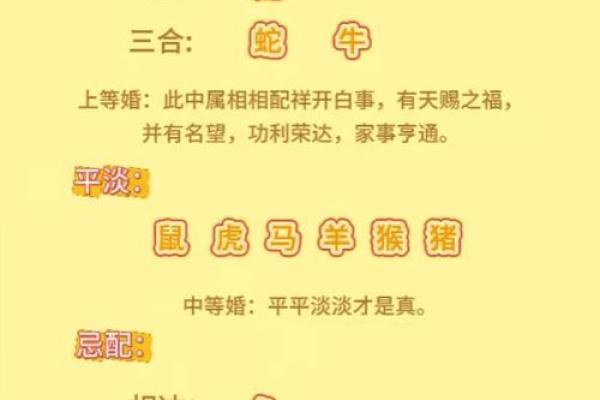 大属相和小属相有什么说法 大属相和小属相相克吗