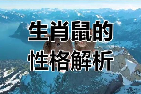 1972年出生的属鼠男性今日健康运势怎样适合锻炼吗