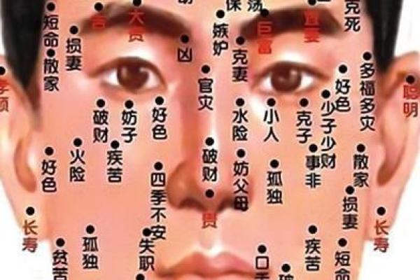 如何通过面相算命,看相算命大全