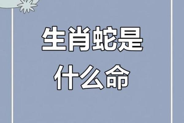 男蛇不能配什么属相 男蛇不能配什么属相的