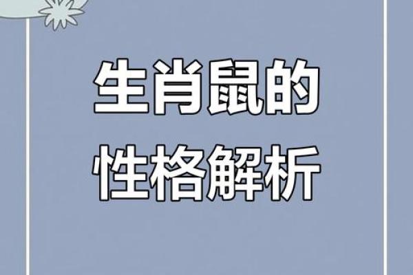 2025年鼠年本命年运势如何？属鼠人需要注意哪些方面？