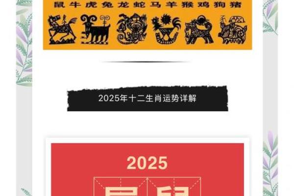 72年属鼠女2025年每月运势详解及全年运程完整版