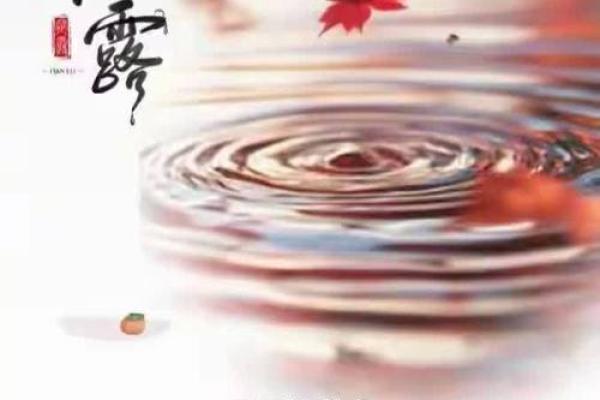 2024年寒露准确时间几点几分 2024年寒露时间一览表