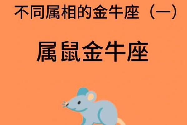 96年属鼠的人什么时候能遇到命中注定的另一半