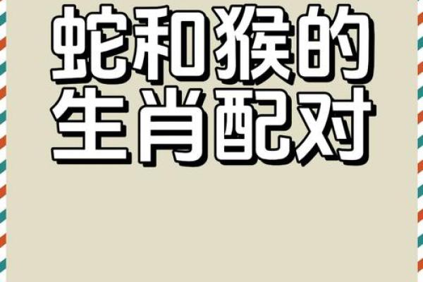 属猴跟属猪的合不合 属猴跟属猪的合不合适