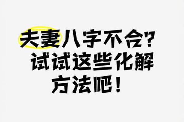 男牛女兔属相合不合 97牛跟99兔八字合不合