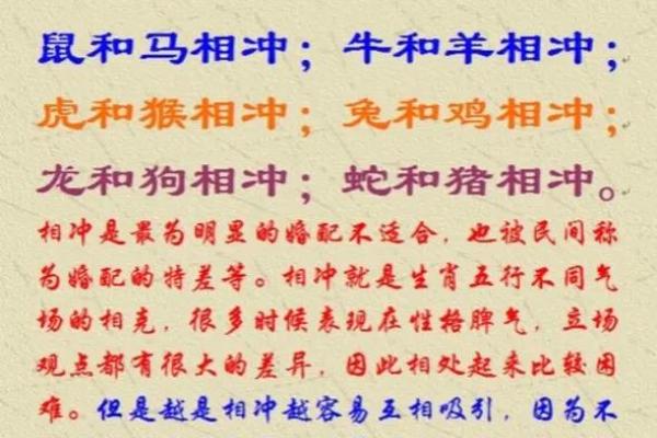 子午相冲三合出什么生肖 子午相冲三合出打一准确的动物