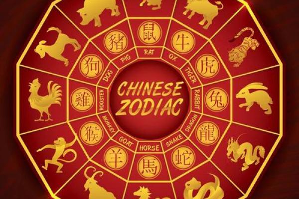 何是什么生肖 何是什么生肖动物最佳