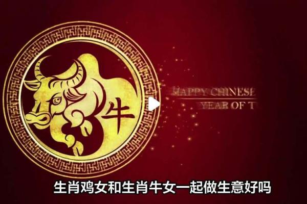哪些生肖不能在一起 哪些生肖不能在一起做生意