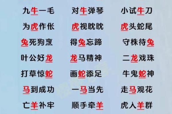 风花雪月成语谜底揭晓，它究竟指的是十二生肖中的哪一个动物？