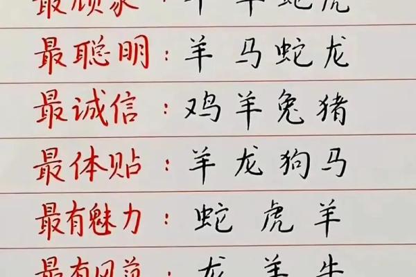 光芒万丈是什么生肖 光芒万丈打一正确生肖动物
