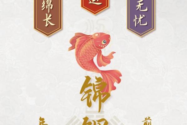 锦鲤象征意义 锦鲤寓义