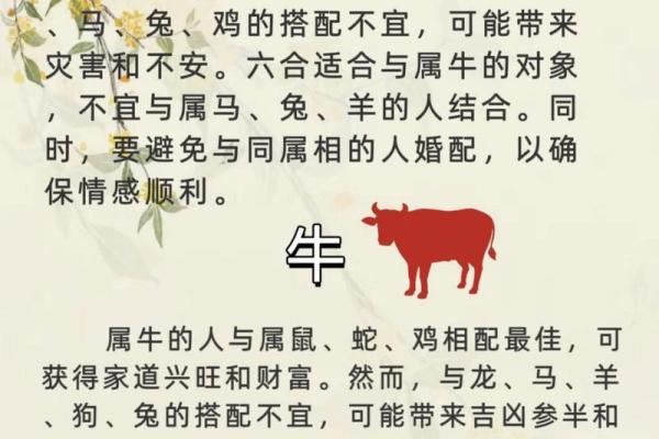 属马与属鼠婚配好不好 属鼠与属马相克吗